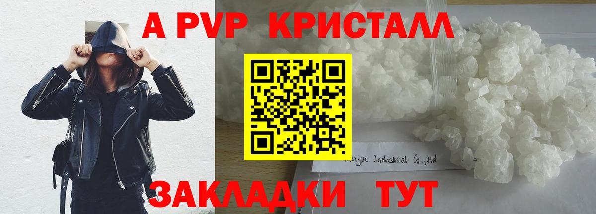 A PVP СК КРИС Назрань
