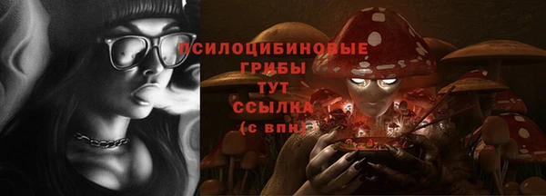 шишки Пролетарск