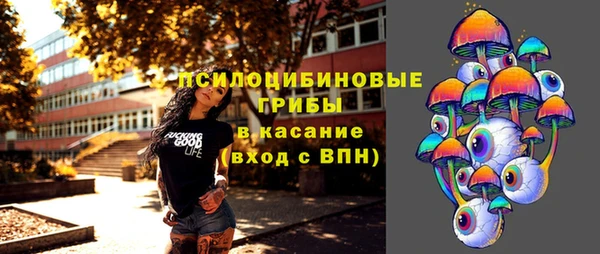 МДПВ Липки