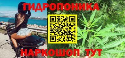 шишки Ирбит