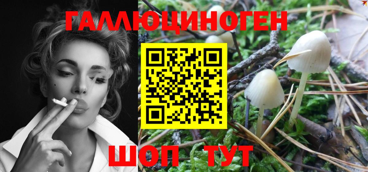 Галлюциногенные грибы Magic Shrooms  Назрань 