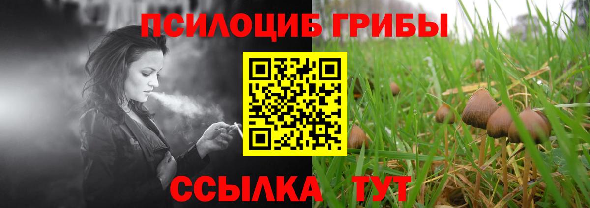 Галлюциногенные грибы Psilocybe Назрань