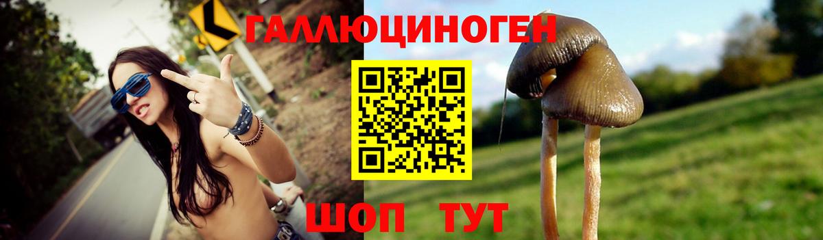 купить  сайты  Вход с VPN  Назрань  Псилоцибиновые грибы ЛСД 