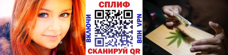 Конопля планчик  Назрань 