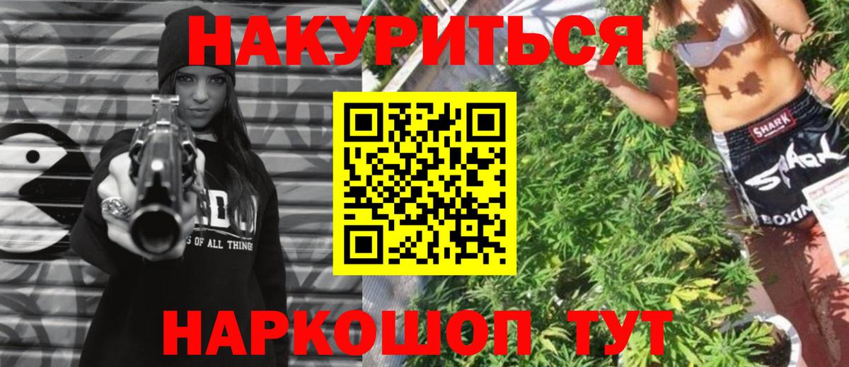 Шишки марихуана ГИДРОПОН  Назрань  Шишки марихуана план  Конопля сатива 